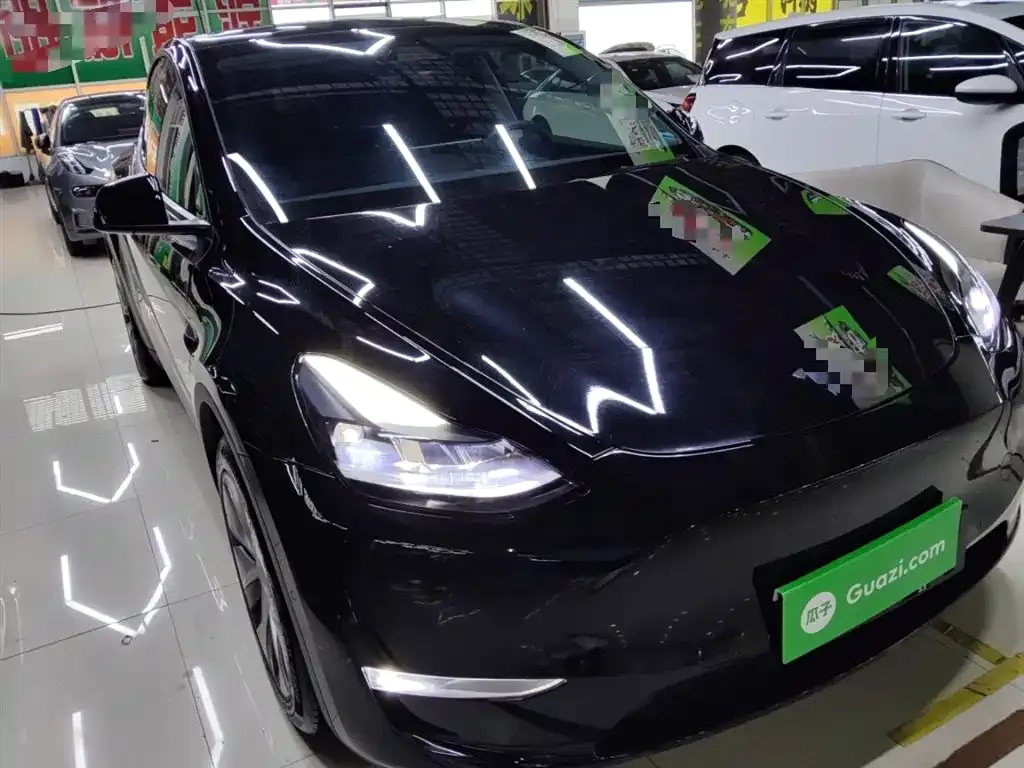 Tesla Model Y 2021 из CN, фото 4