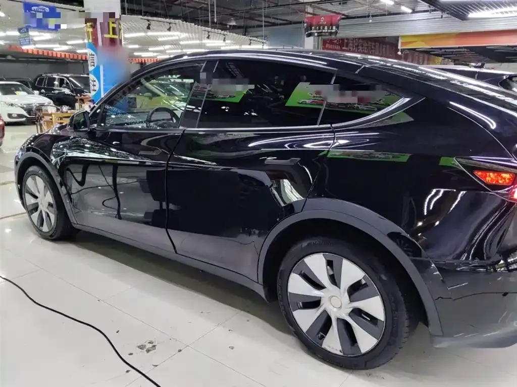 Tesla Model Y 2021 из CN, фото 5