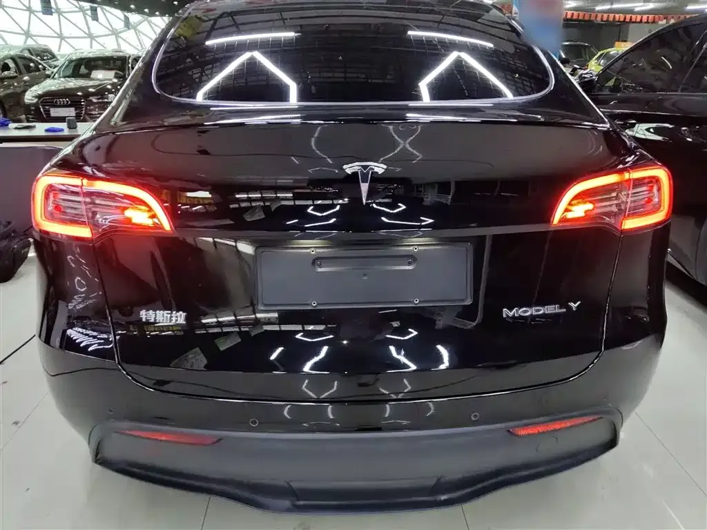 Tesla Model Y 2021 из CN, фото 6