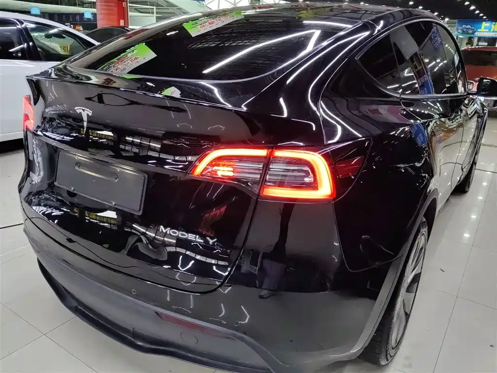 Tesla Model Y 2021 из CN, фото 7