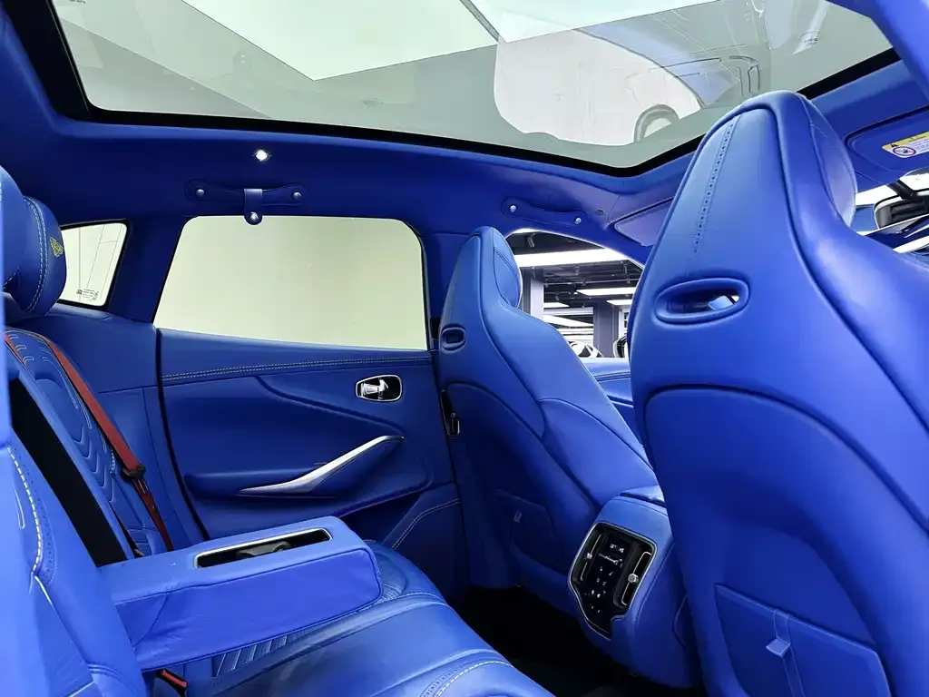 Aston Martin DBX 2021 из CN, фото 8