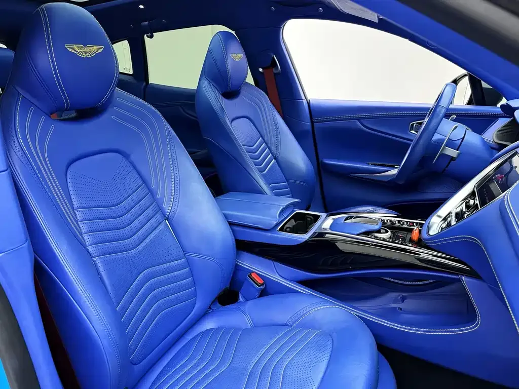 Aston Martin DBX 2021 из CN, фото 9