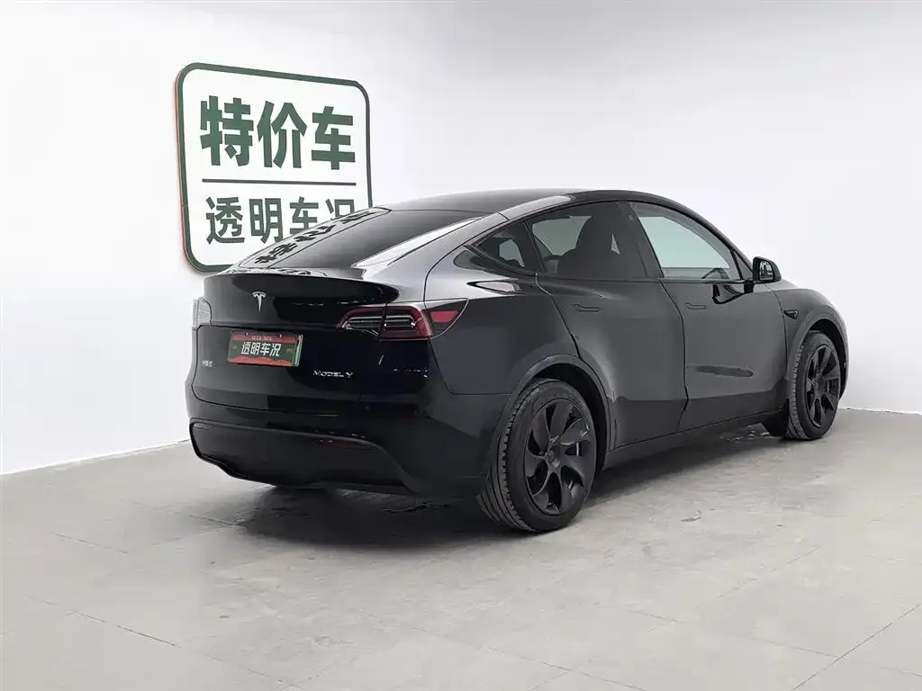 Tesla Model Y 2023 из CN, фото 2