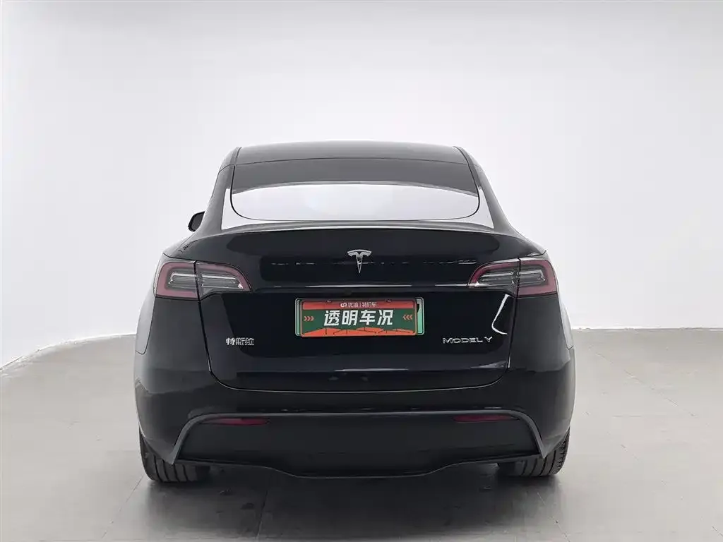 Tesla Model Y 2023 из CN, фото 4