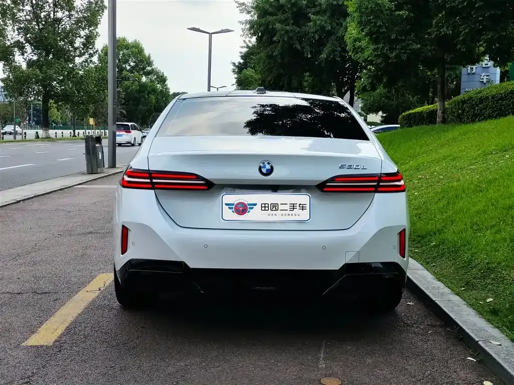 BMW 5 Series 2025 из CN, фото 5