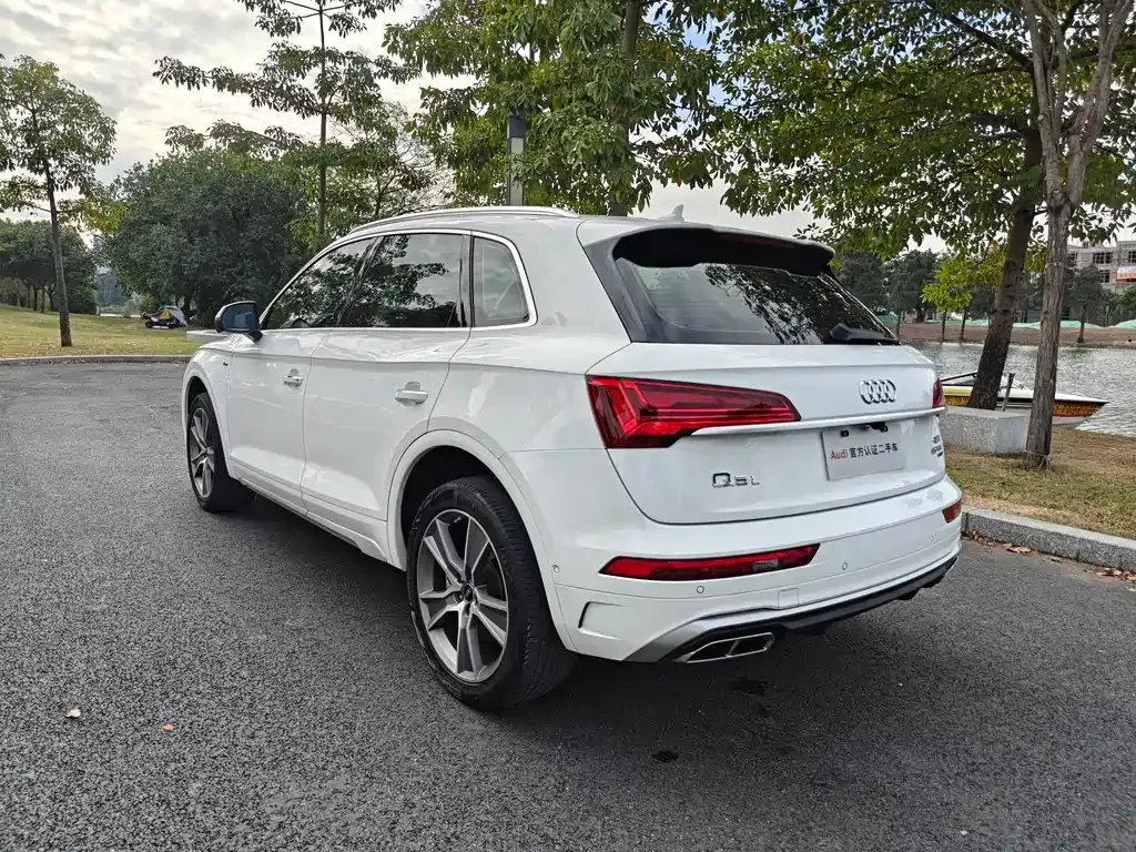 Audi Q5L 2023 из CN, фото 4