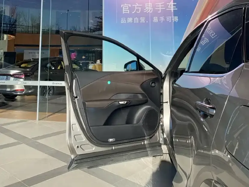 Lexus RX New Energy 2025 из CN, фото 5
