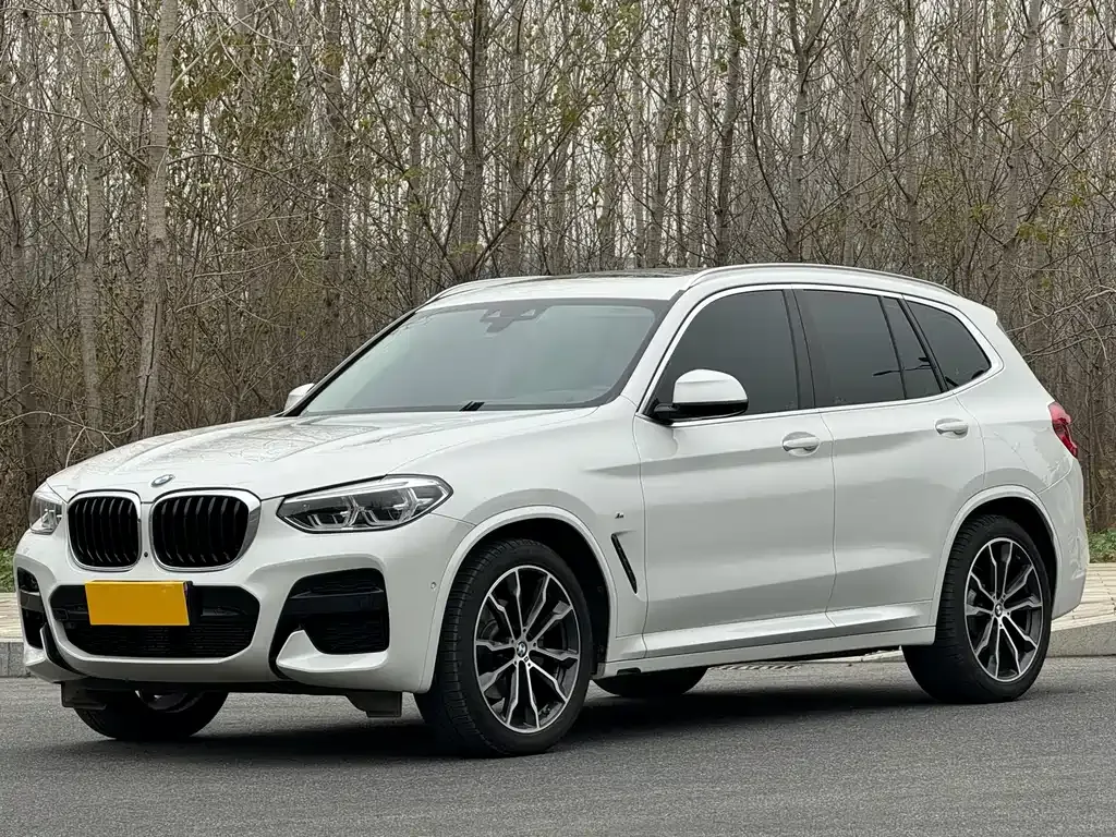 BMW X3 2021 из CN, фото 1