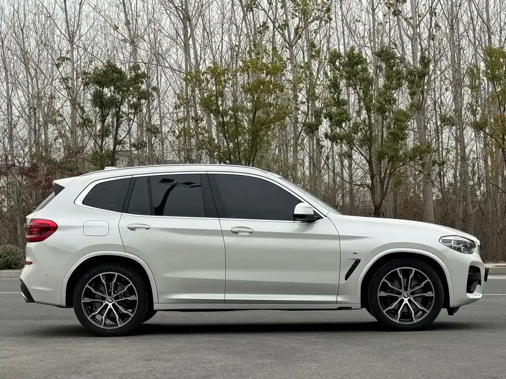 BMW X3 2021 из CN, фото 10