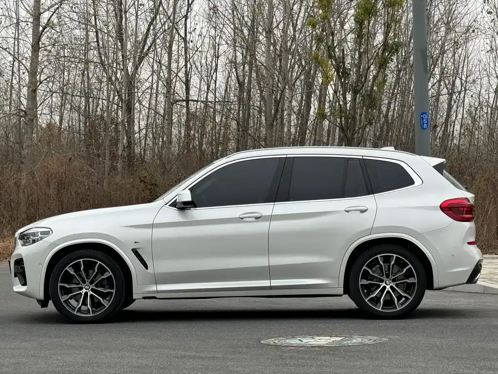 BMW X3 2021 из CN, фото 2