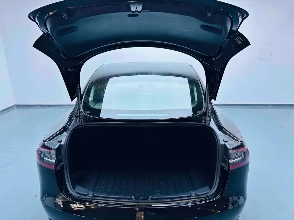 Tesla Model 3 2021 из CN, фото 10