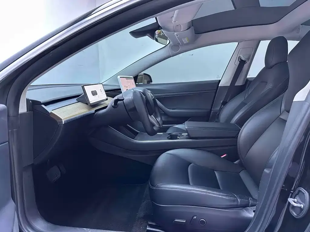 Tesla Model 3 2021 из CN, фото 3