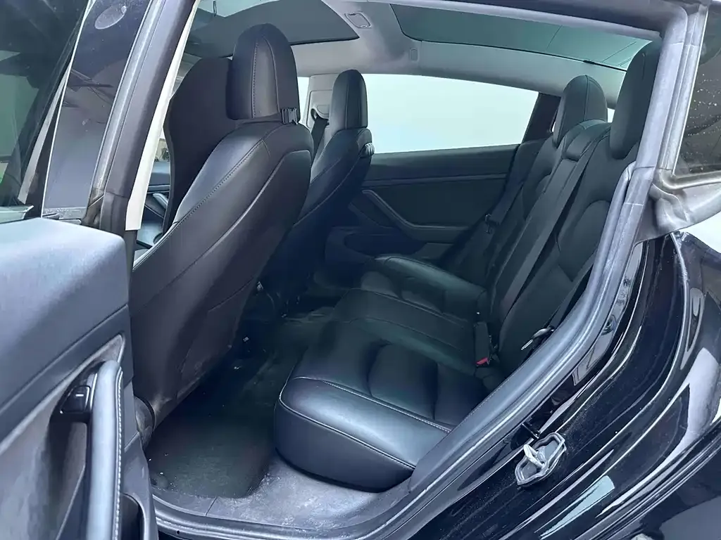 Tesla Model 3 2021 из CN, фото 4