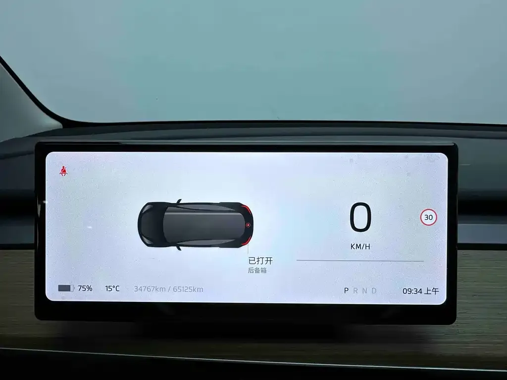 Tesla Model 3 2021 из CN, фото 7