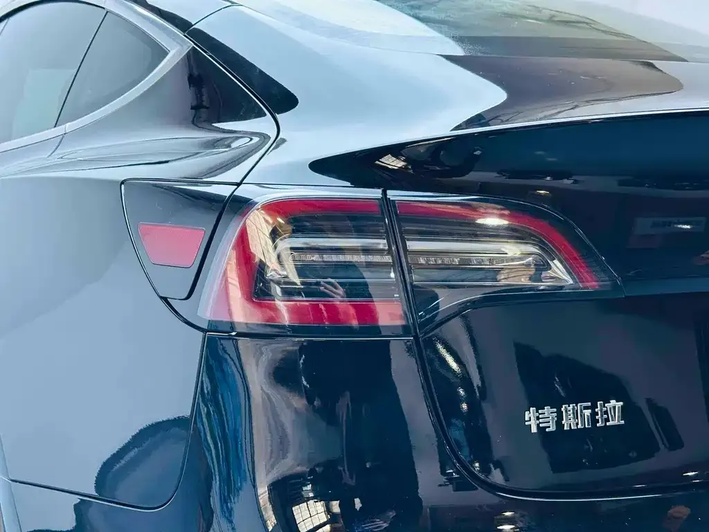 Tesla Model 3 2021 из CN, фото 9