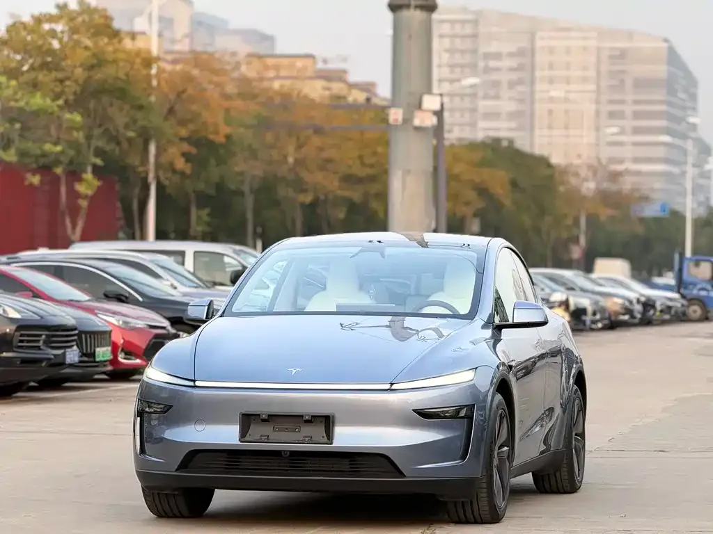 Tesla Model Y 2025 из CN, фото 1