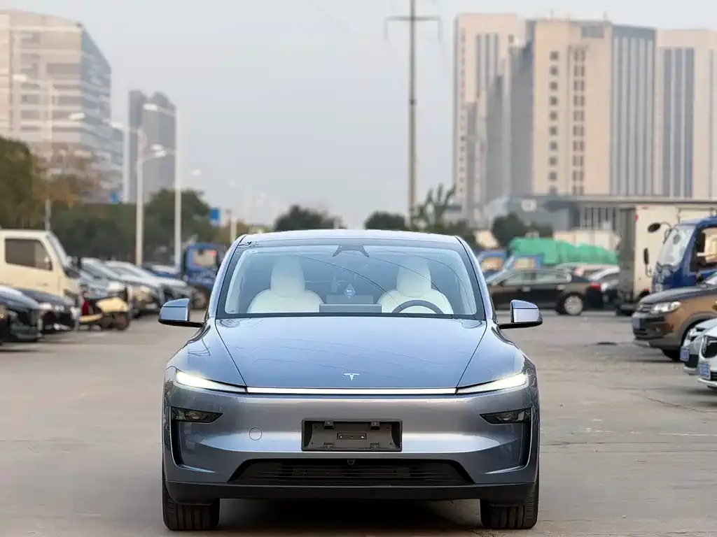 Tesla Model Y 2025 из CN, фото 2