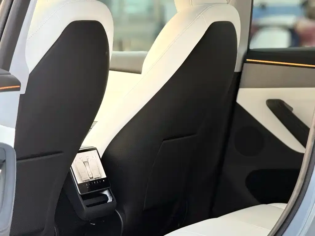 Tesla Model Y 2025 из CN, фото 9