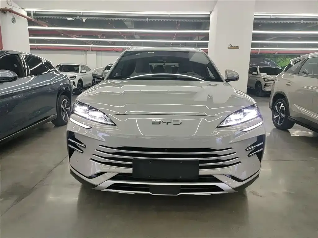 BYD PLUS New Energy 2025 из CN, фото 3