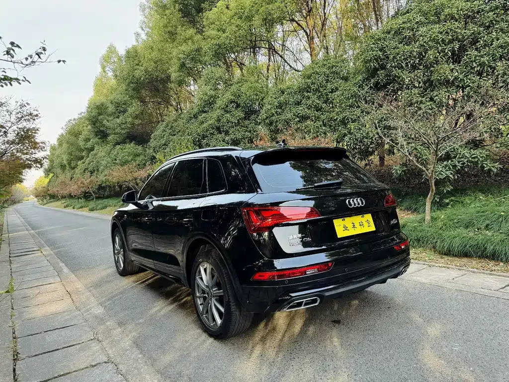 Audi Q5L 2023 из CN, фото 6