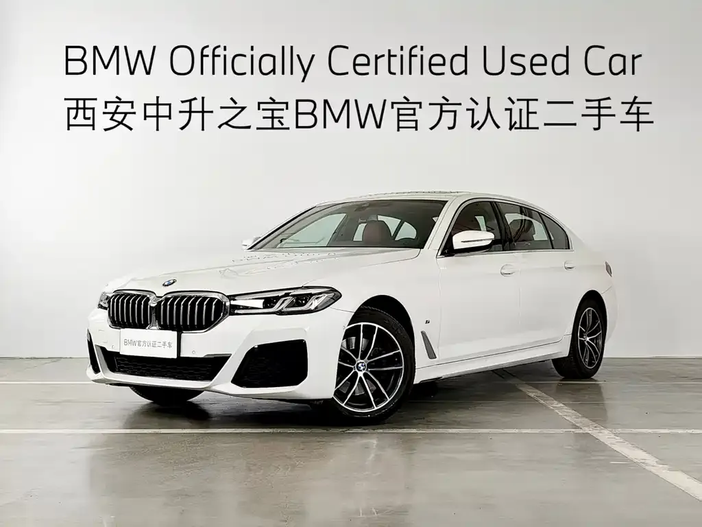 BMW 5 Series 2024 из CN, фото 1