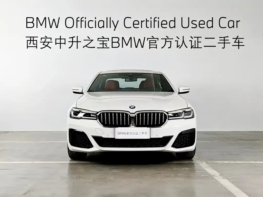 BMW 5 Series 2024 из CN, фото 2