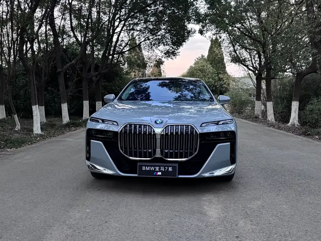 BMW 7 Series 2024 из CN, фото 2