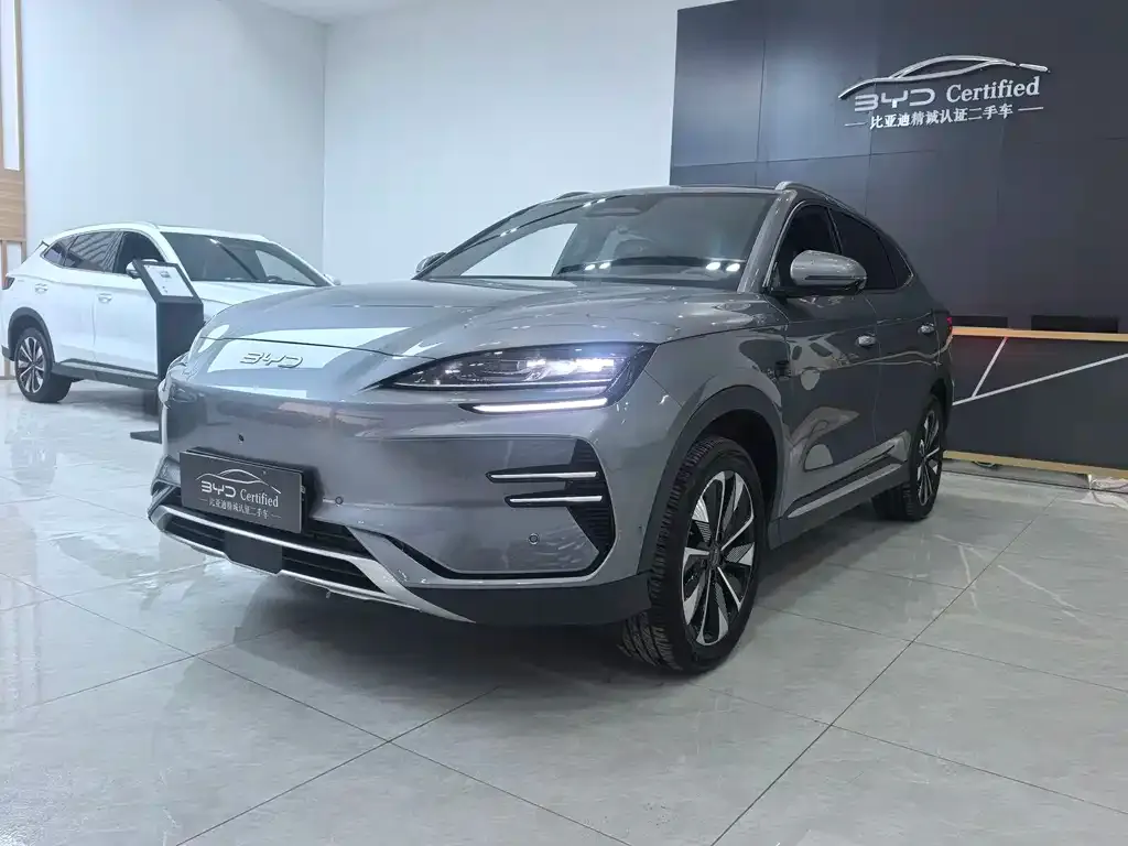 BYD PLUS New Energy 2025 из CN, фото 1