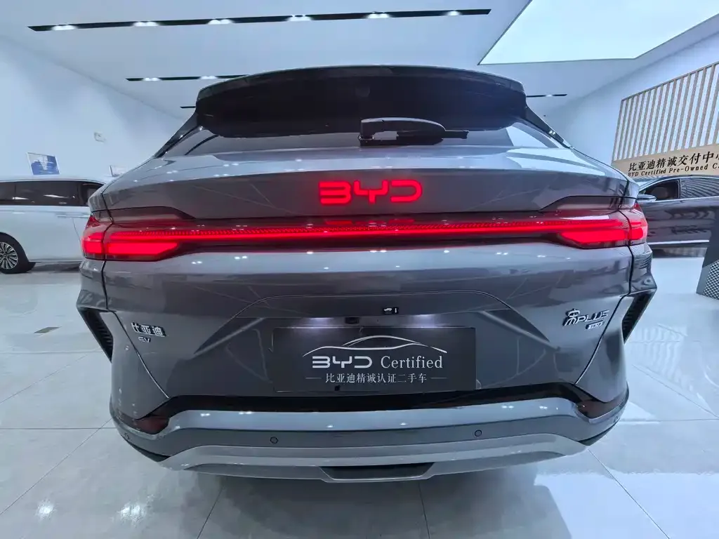 BYD PLUS New Energy 2025 из CN, фото 5