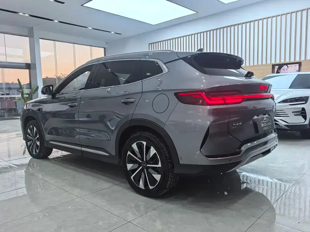 BYD PLUS New Energy 2025 из CN, фото 6