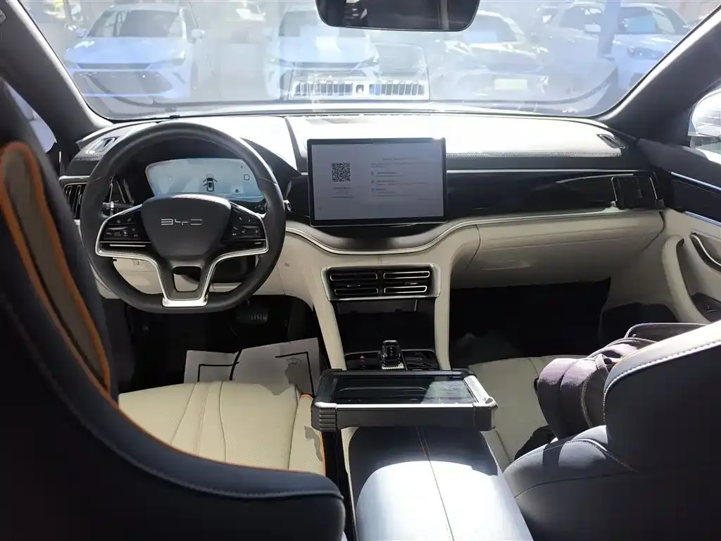 BYD PLUS New Energy 2023 из CN, фото 10