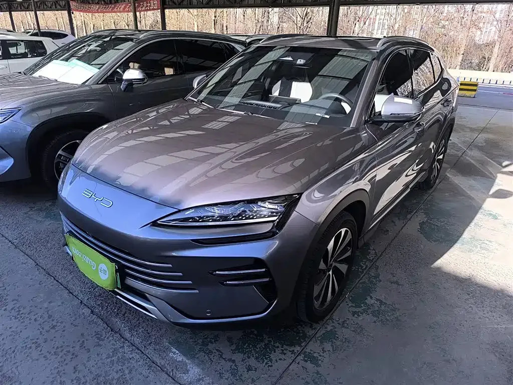 BYD PLUS New Energy 2023 из CN, фото 2