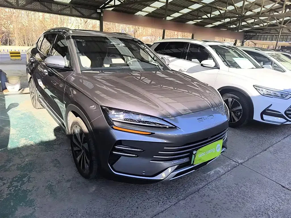 BYD PLUS New Energy 2023 из CN, фото 4