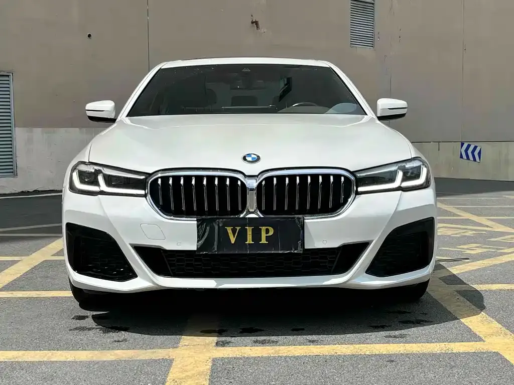 BMW 5 Series 2021 из CN, фото 1