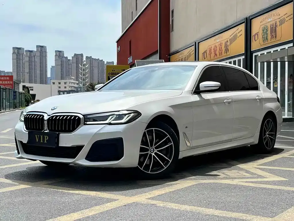 BMW 5 Series 2021 из CN, фото 2