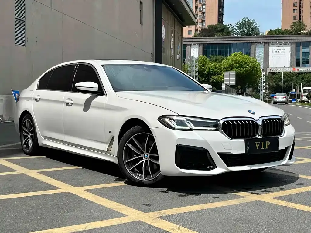 BMW 5 Series 2021 из CN, фото 3