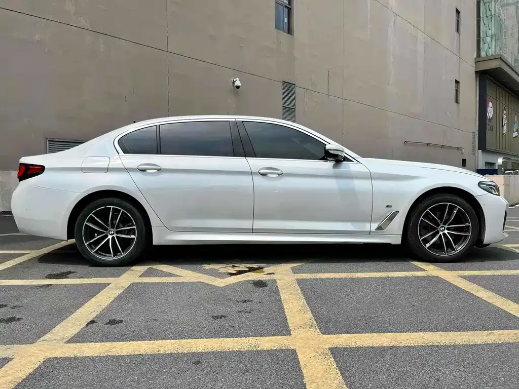 BMW 5 Series 2021 из CN, фото 4
