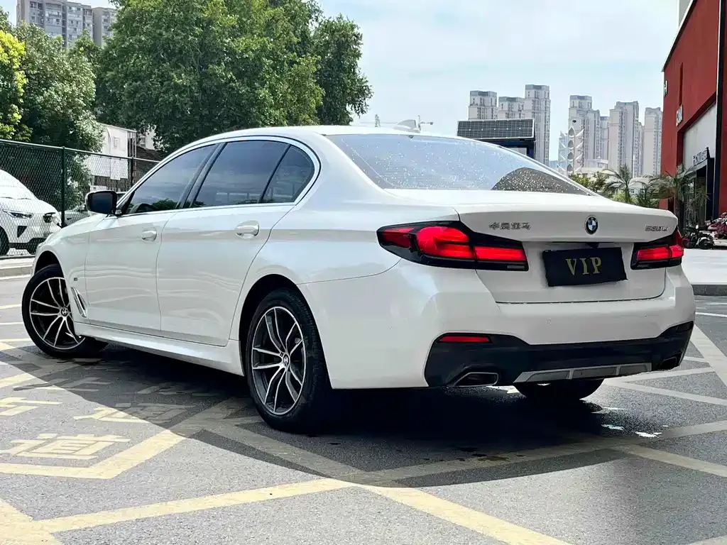 BMW 5 Series 2021 из CN, фото 7