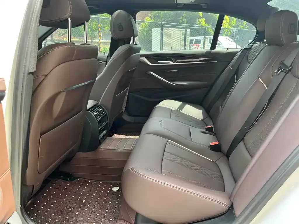 BMW 5 Series 2021 из CN, фото 9