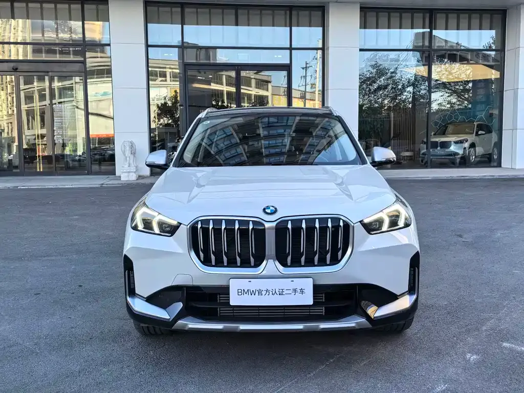 BMW X1 2024 из CN, фото 2