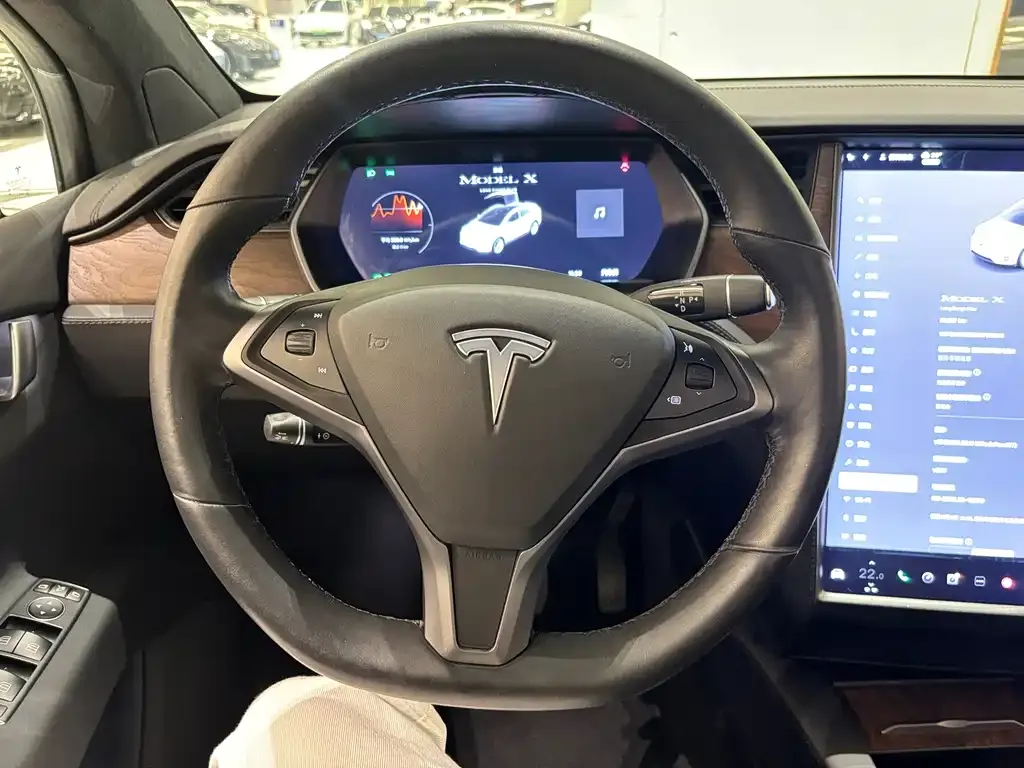 Tesla Model X — фото 10