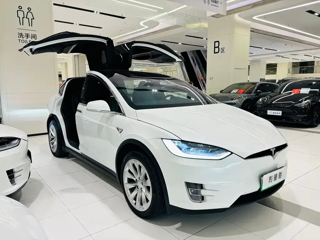 Tesla Model X — фото 2