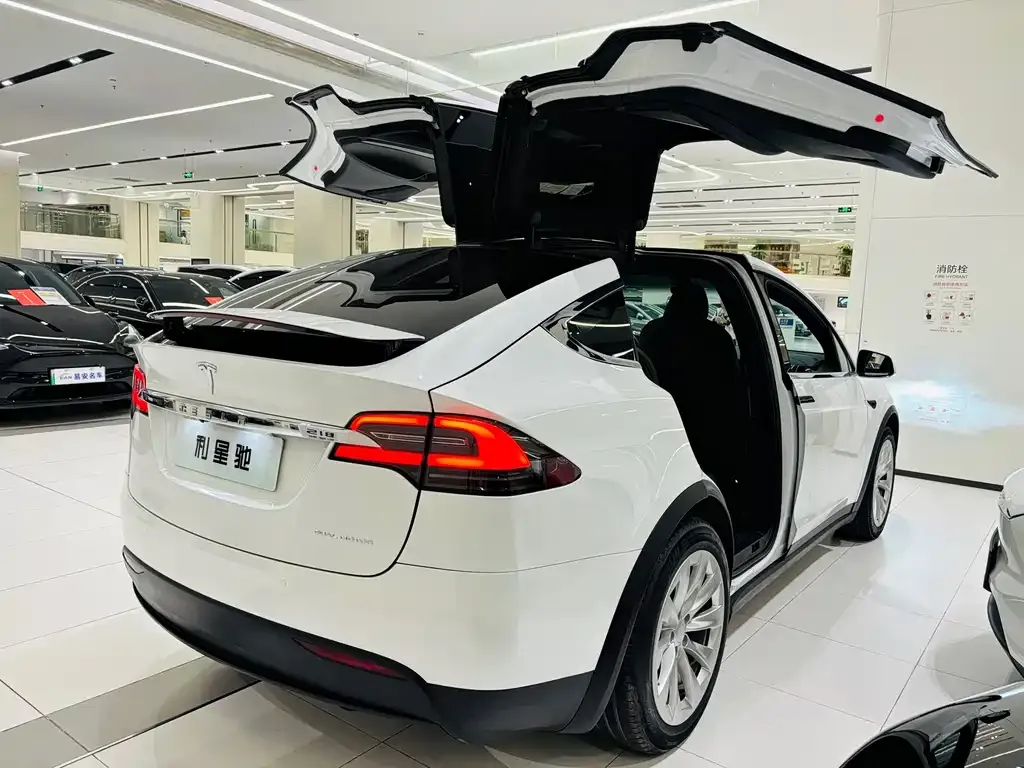 Tesla Model X — фото 3