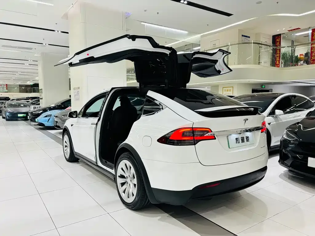 Tesla Model X — фото 4