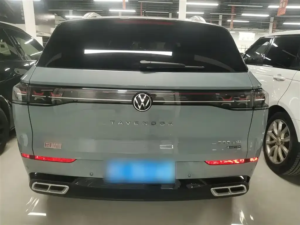 Volkswagen Tavendor 2023 из CN, фото 6