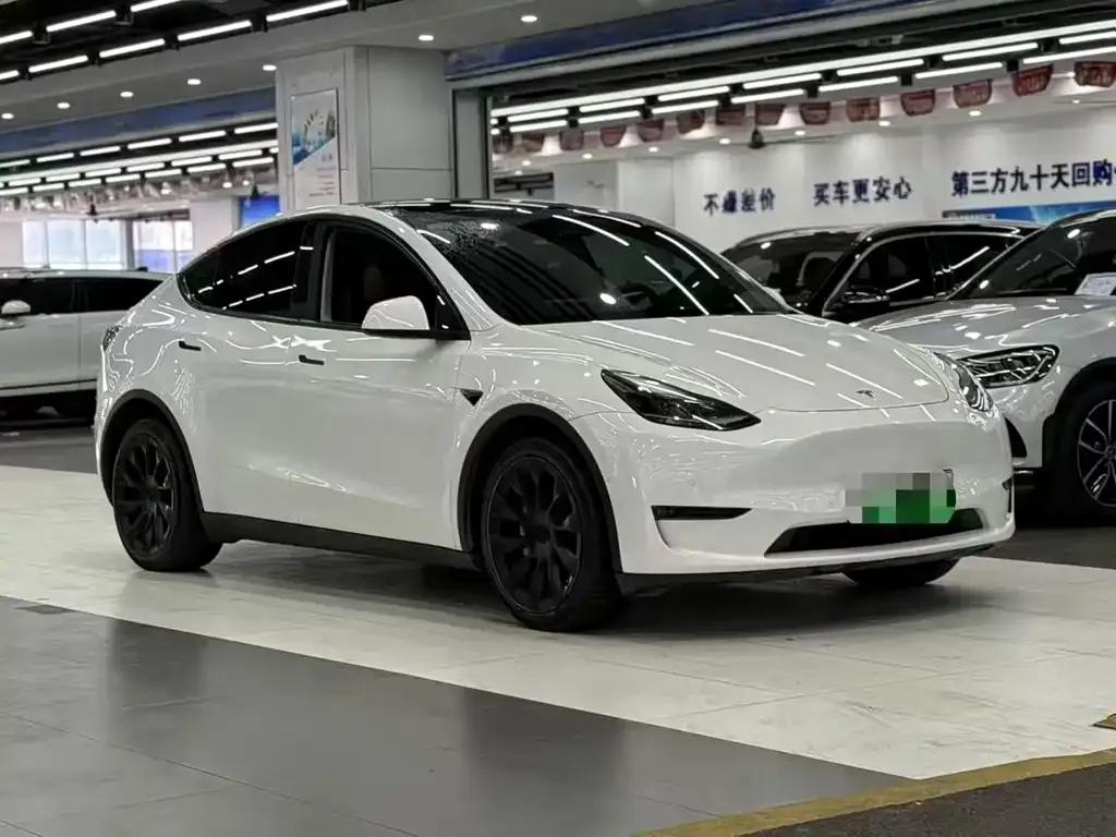 Tesla Model Y — фото 3