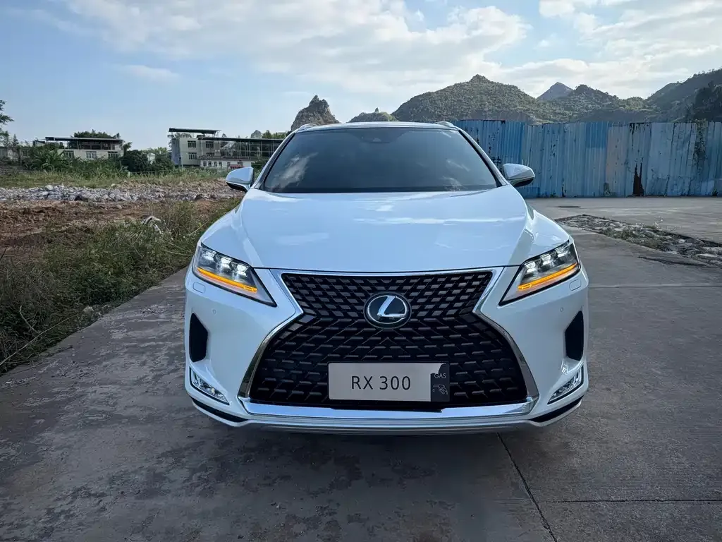 Lexus RX — фото 2