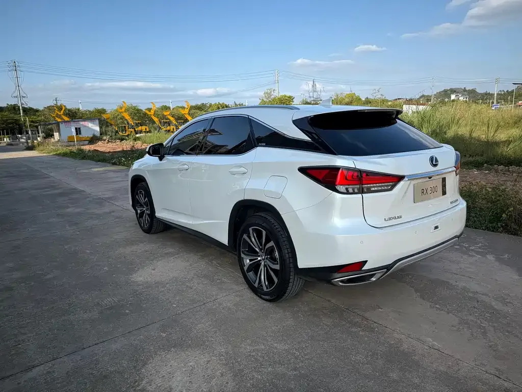 Lexus RX — фото 7
