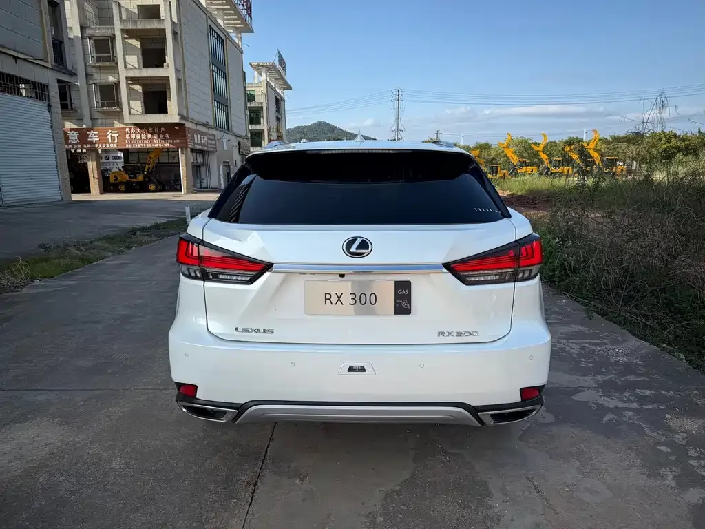 Lexus RX — фото 8