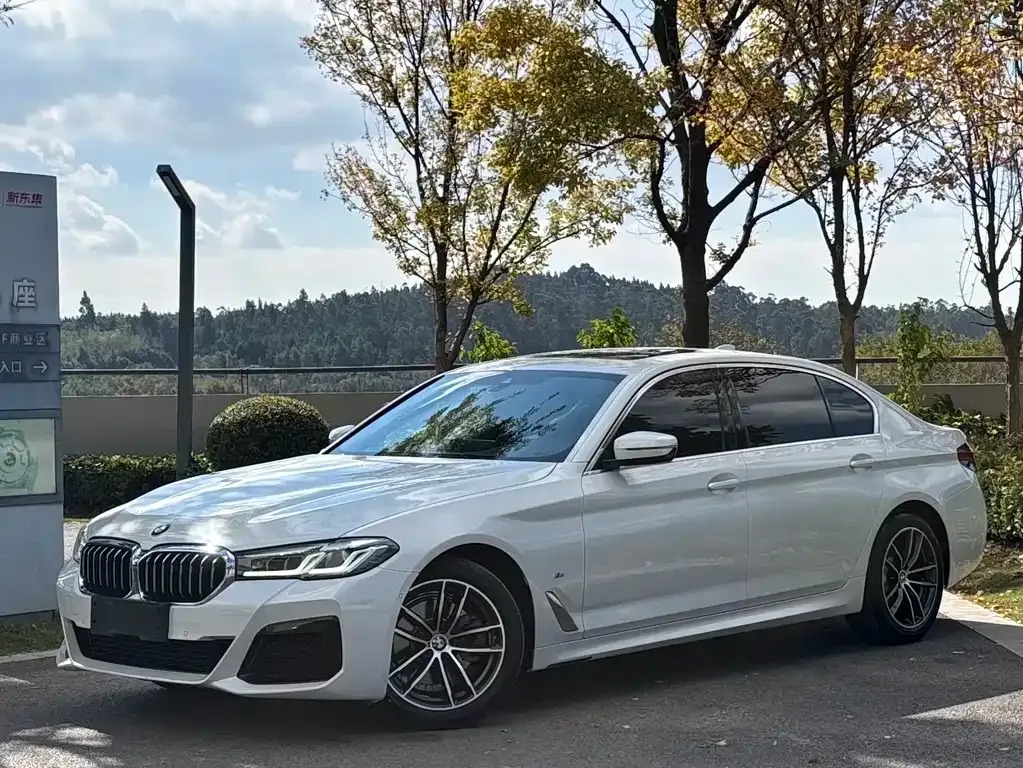 BMW 5 Series 2021 из CN, фото 1